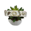 Cowboy Up Dog Collar (Large)