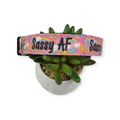 Sassy AF Doodle Dog Collar (Large)