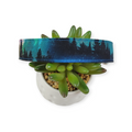 Northern Lights Forest Dog Collar (Large)