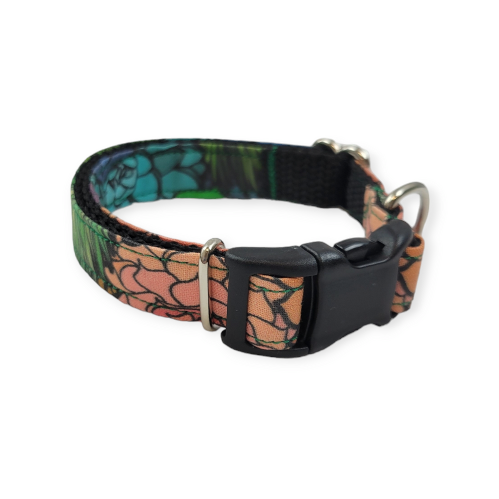 Rainbow Succulents Dog collar (Small)