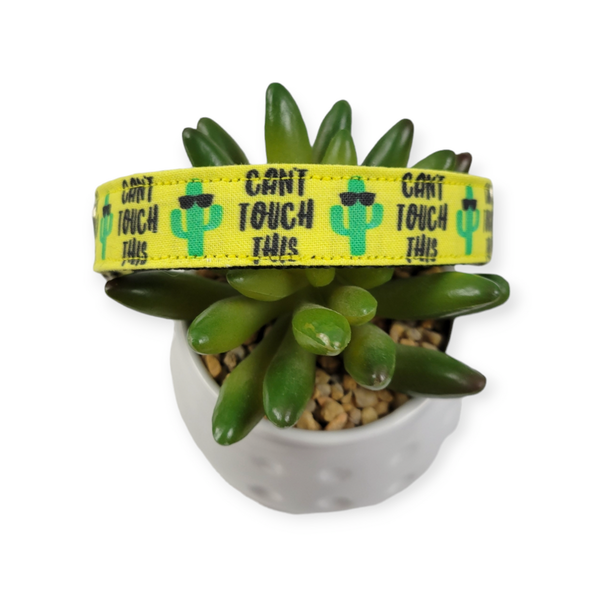 Can't Touch This Dog Collar (Medium)
