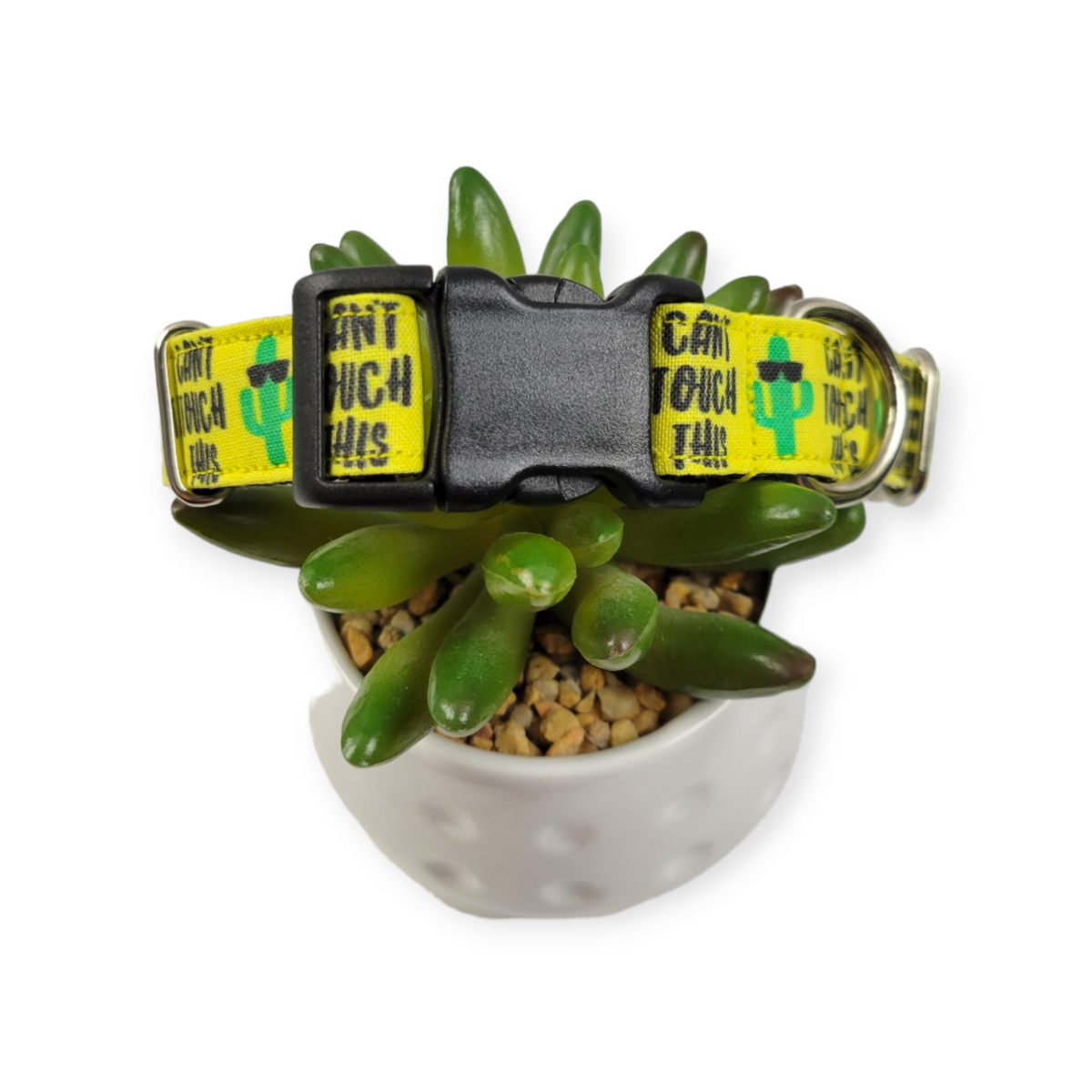 Can't Touch This Dog Collar (Medium)