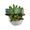 Rainbow Succulent Dog Collar (Medium)