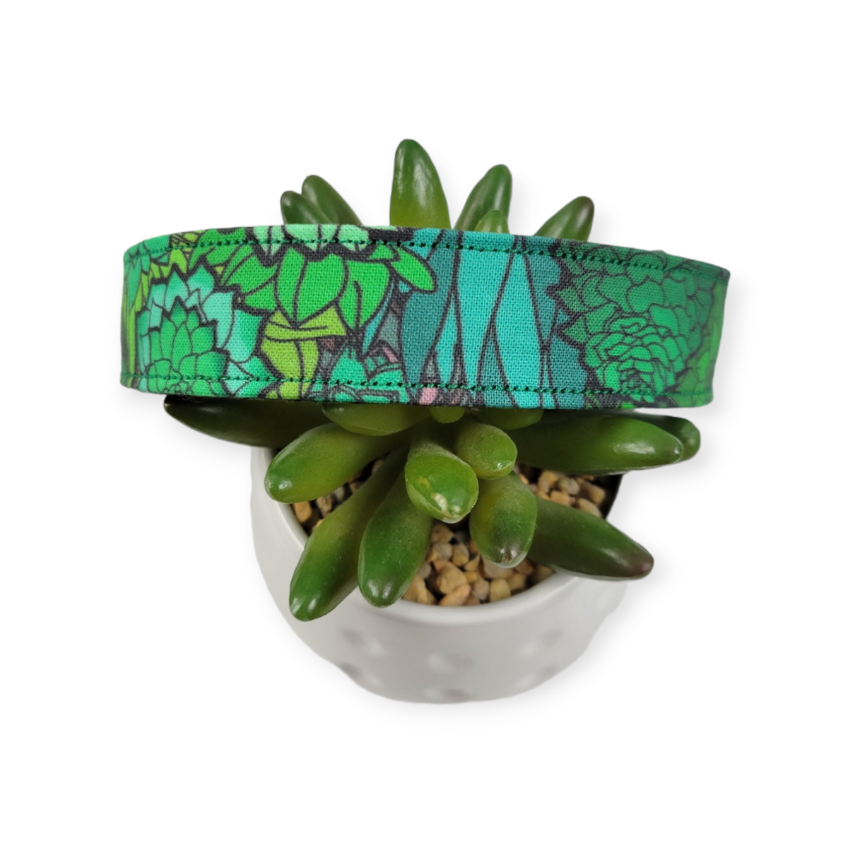 Green Succulent Dog collar (Large)
