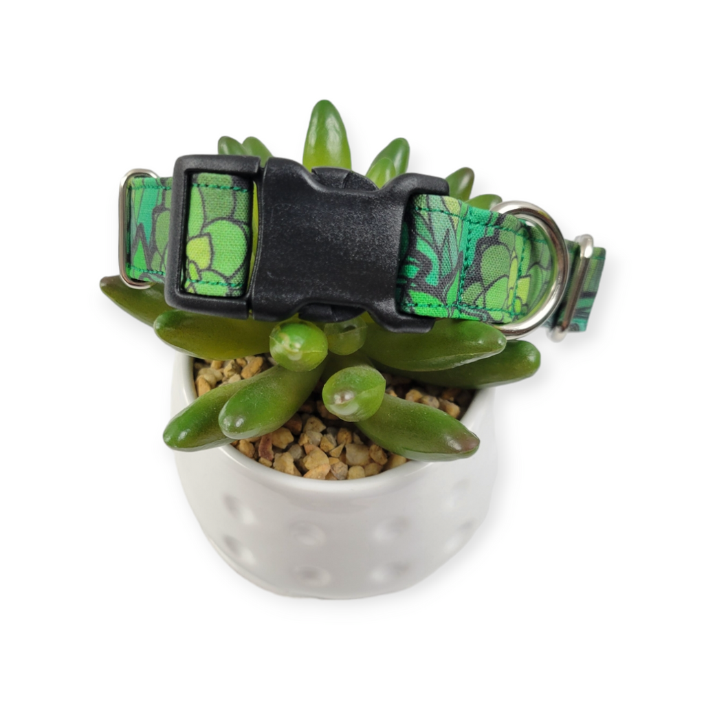 Green Succulent Dog Collar (Medium)