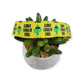 Can't Touch This Dog collar (Large)
