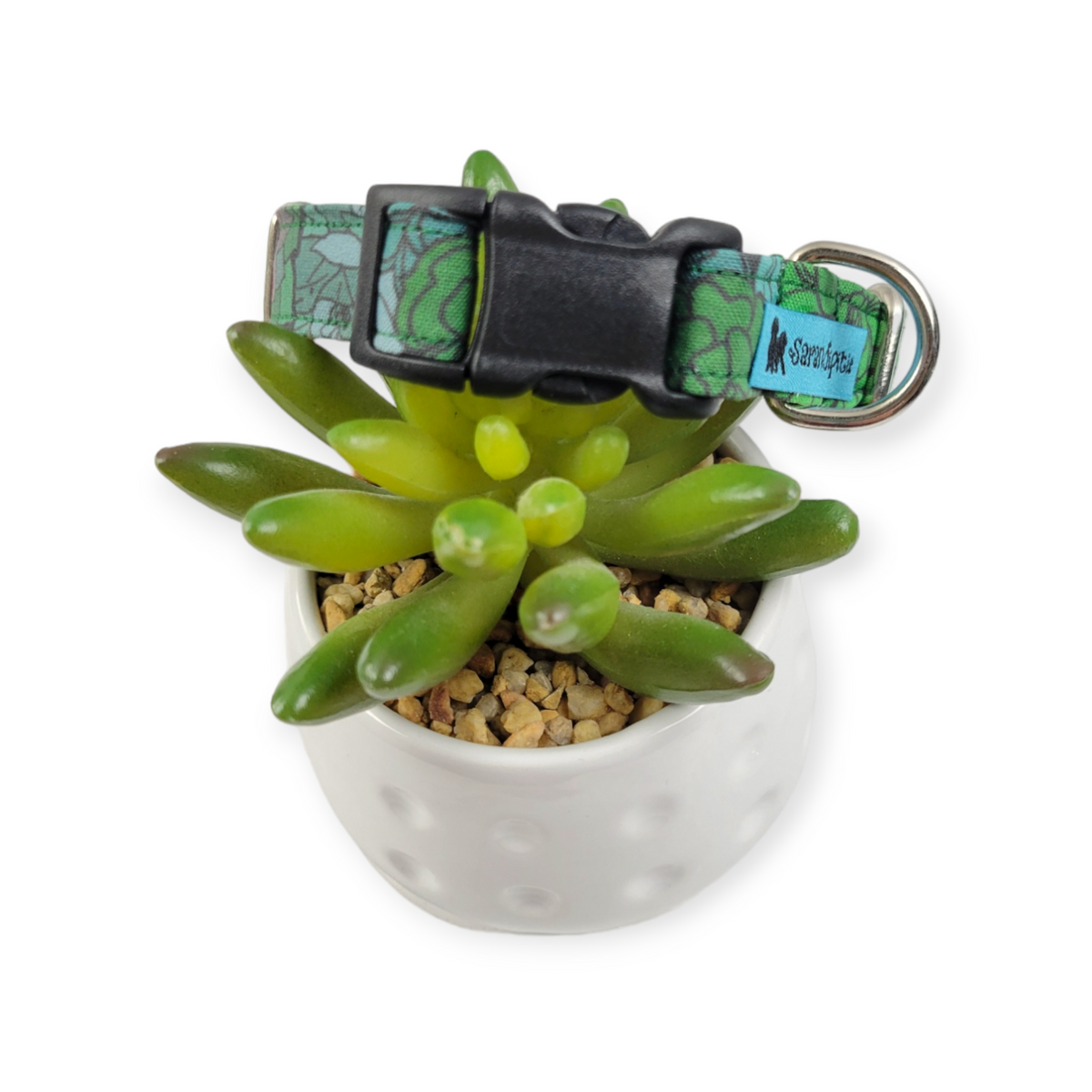 Rainbow Succulents Dog collar (Small)