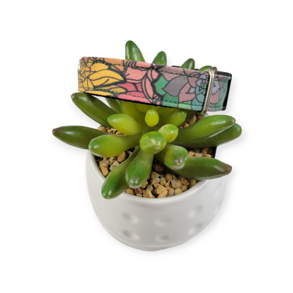 Rainbow Succulents Dog collar (Small)