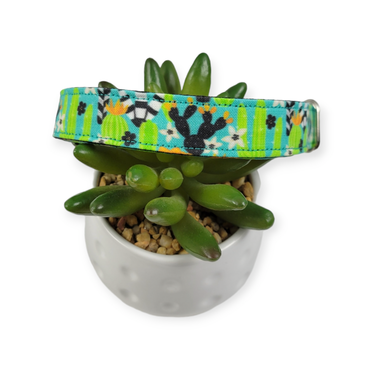 Wild Desert Dog Collar (Medium)