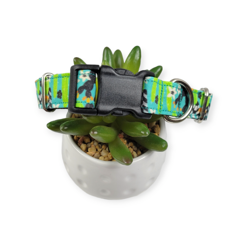 Wild Desert Dog Collar (Medium)
