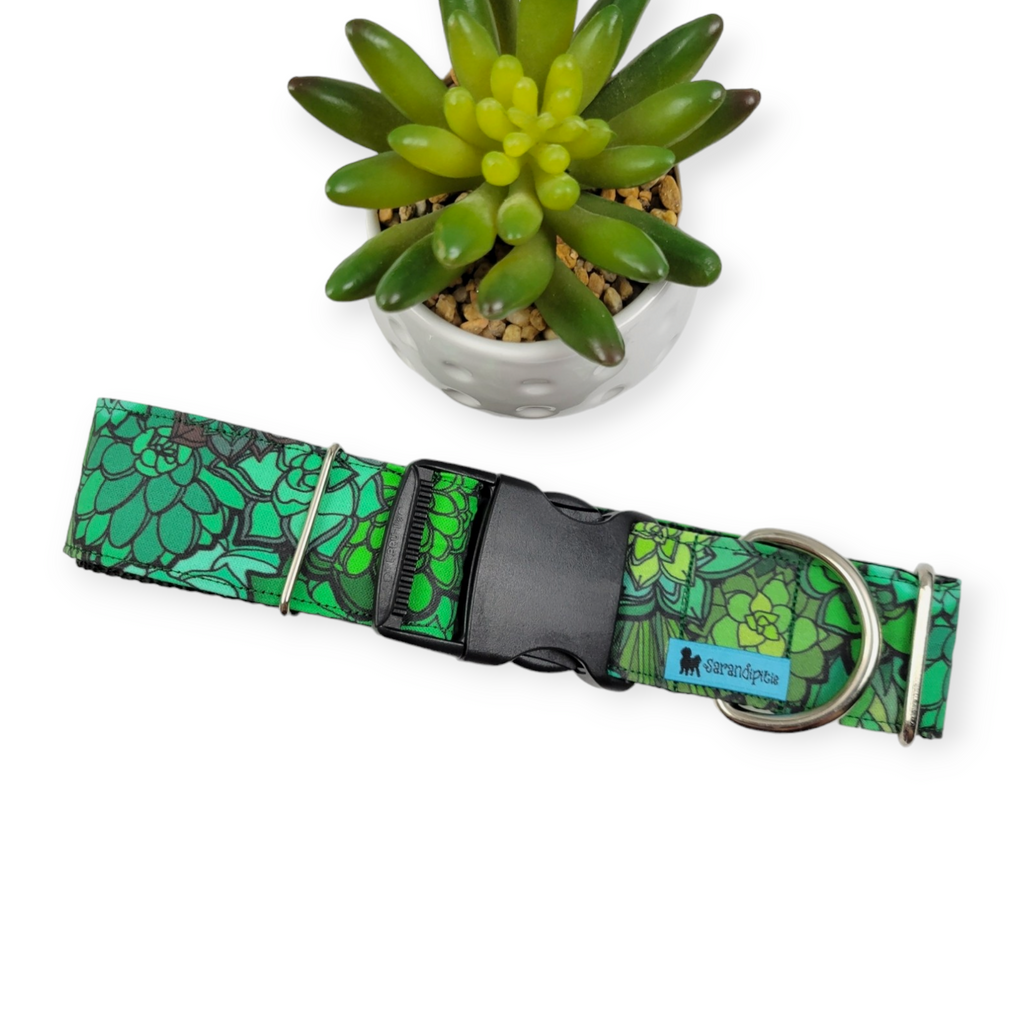 Green Succulents Dog Collar (X-Large, 1.5" wide)