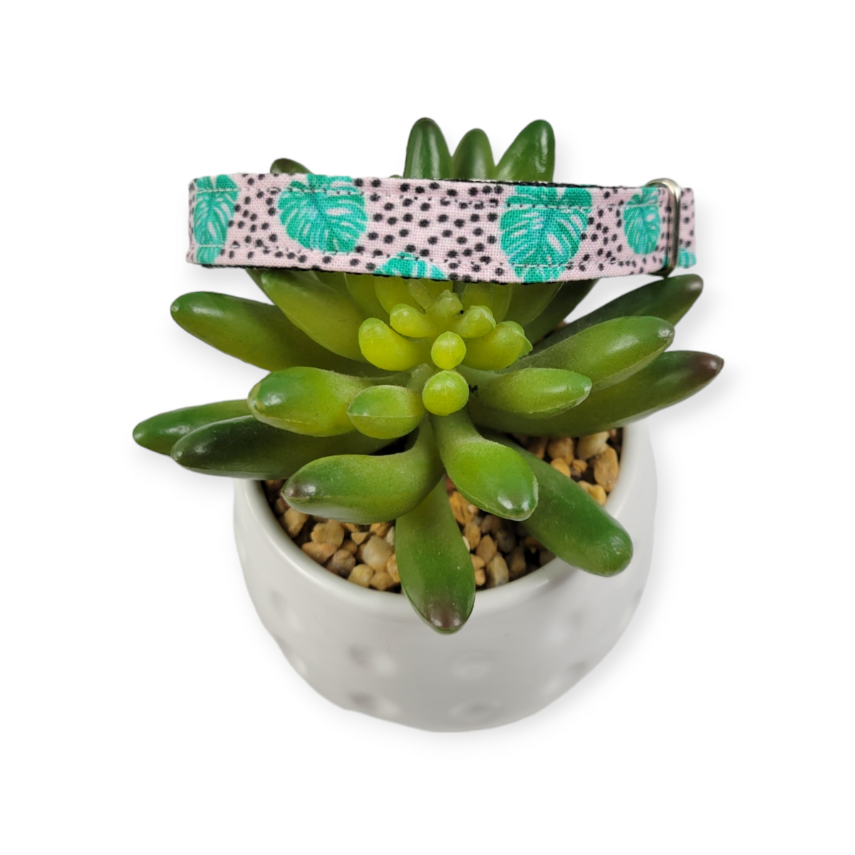 Jungle Garden Kitty Collar (X-Small)