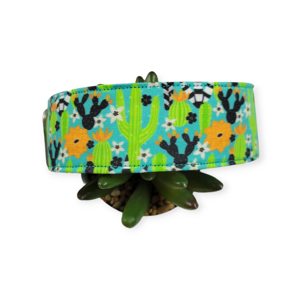 Wild Desert Dog Collar (Large, 1.5" wide)