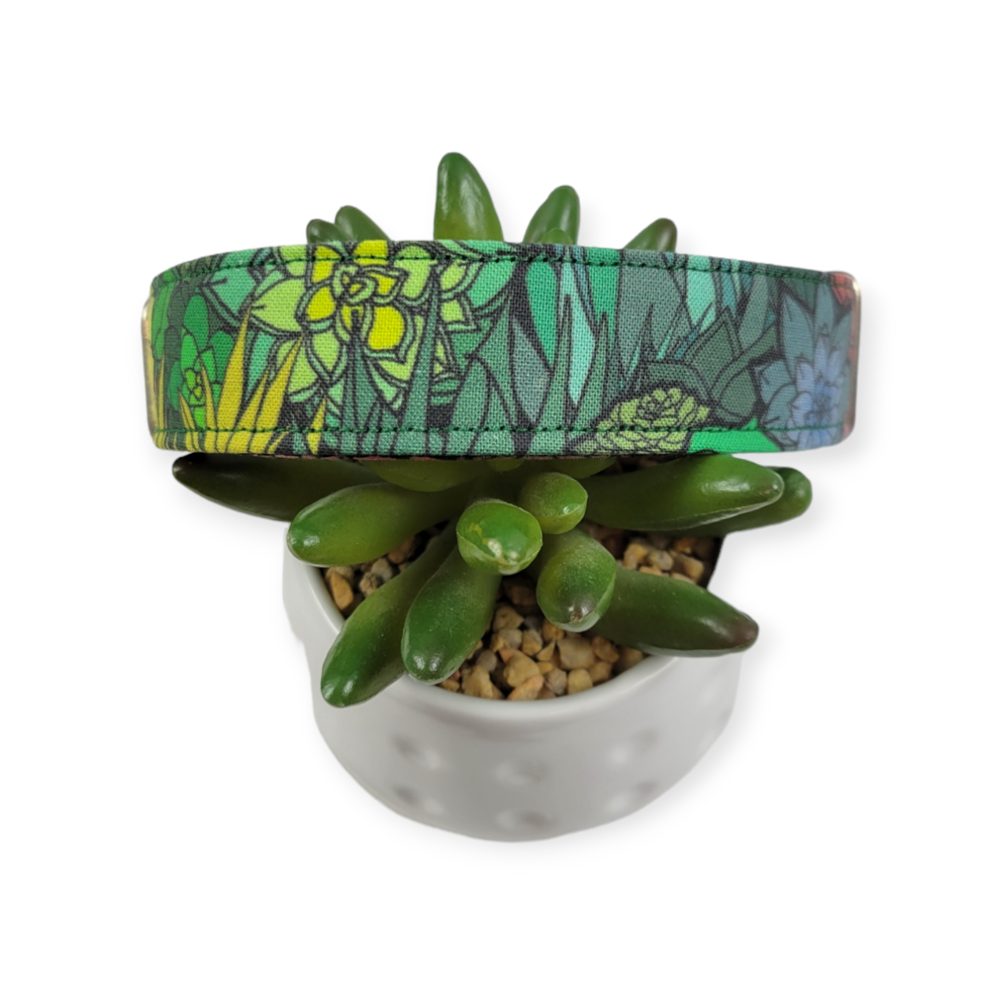 Rainbow Succulent Dog collar (Large)
