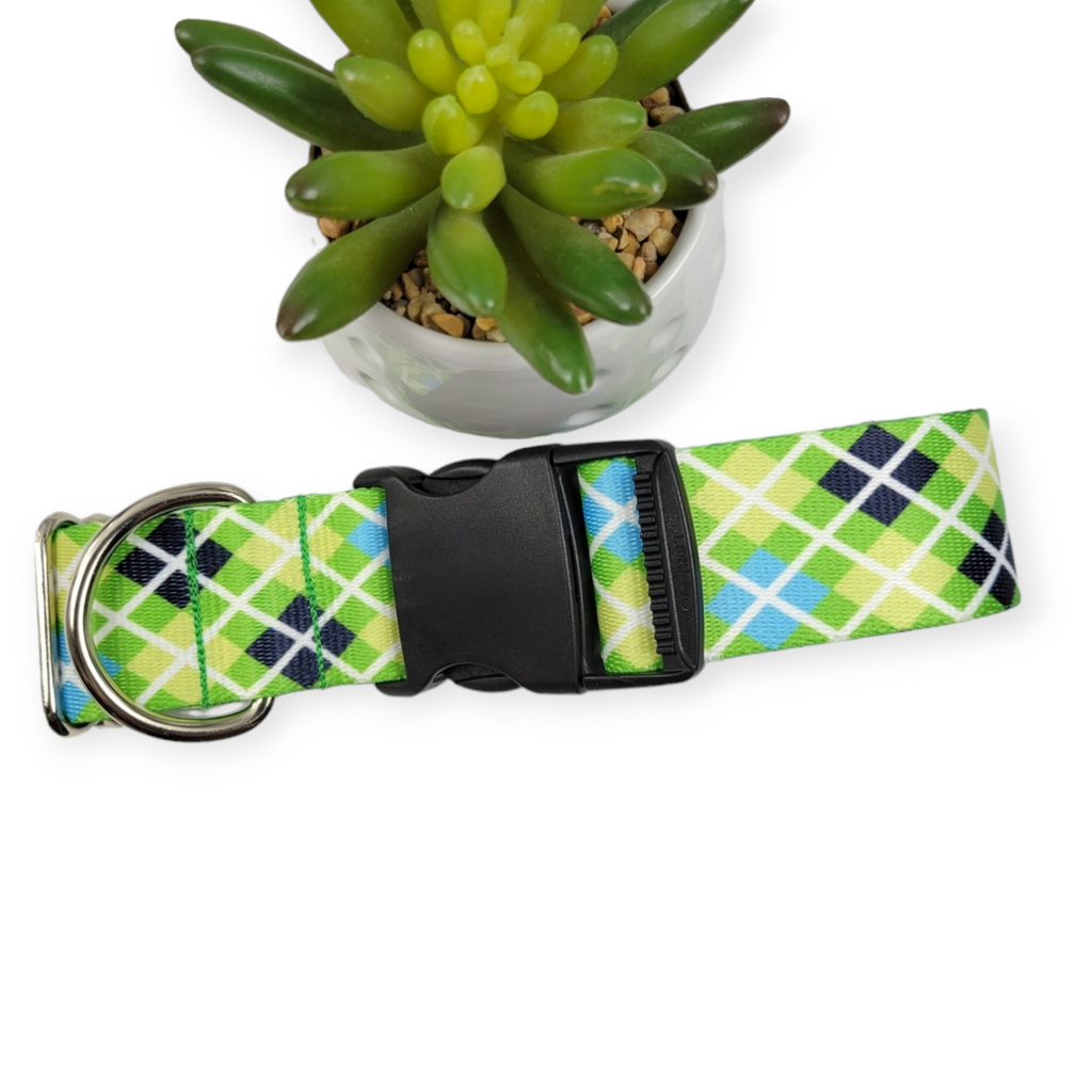Margarita Argyle Plaid Dog Collar (Large, 1.5" wide)