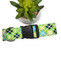 Margarita Argyle Plaid Dog Collar (Large, 1.5" wide)