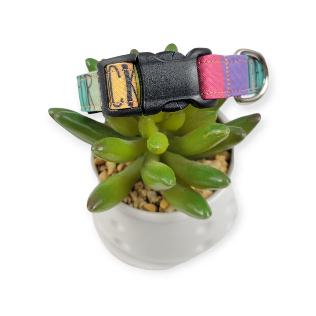 Oh FFS On Retro Rainbow Stripes Dog Collar (Small)