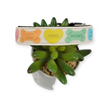 Dog Treats and Hearts Dog Collar (Medium)