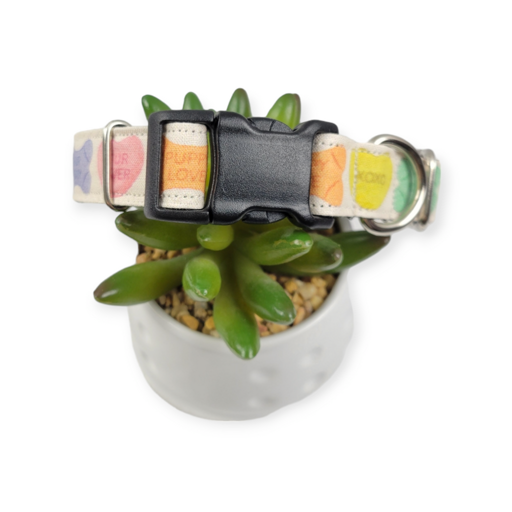 Dog Treats and Hearts Dog Collar (Medium)