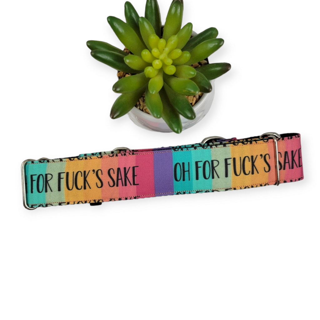 Oh FFS On Retro Rainbow Stripes Martingale Dog Collar (Large, 1.5" wide)