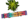 Oh FFS On Retro Rainbow Stripes Martingale Dog Collar (Large, 1.5" wide)