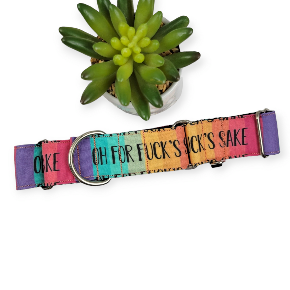 Oh FFS On Retro Rainbow Stripes Martingale Dog Collar (Large, 1.5" wide)