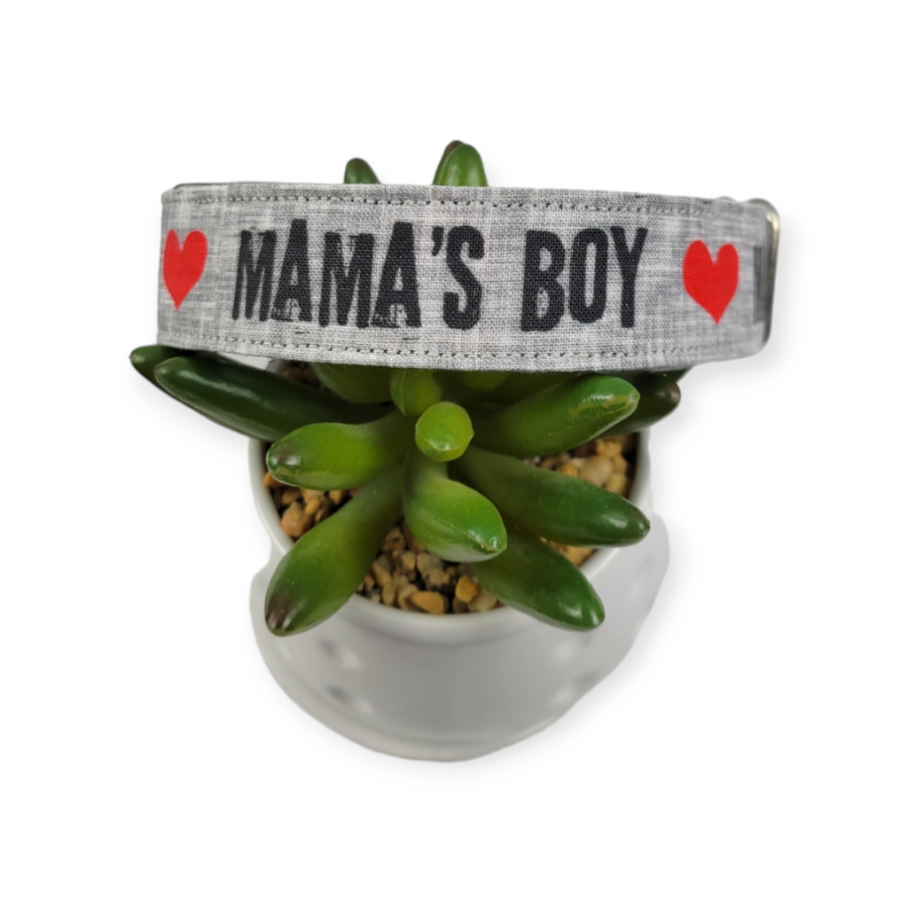 Mama's Boy Dog collar (Medium, 1" wide)