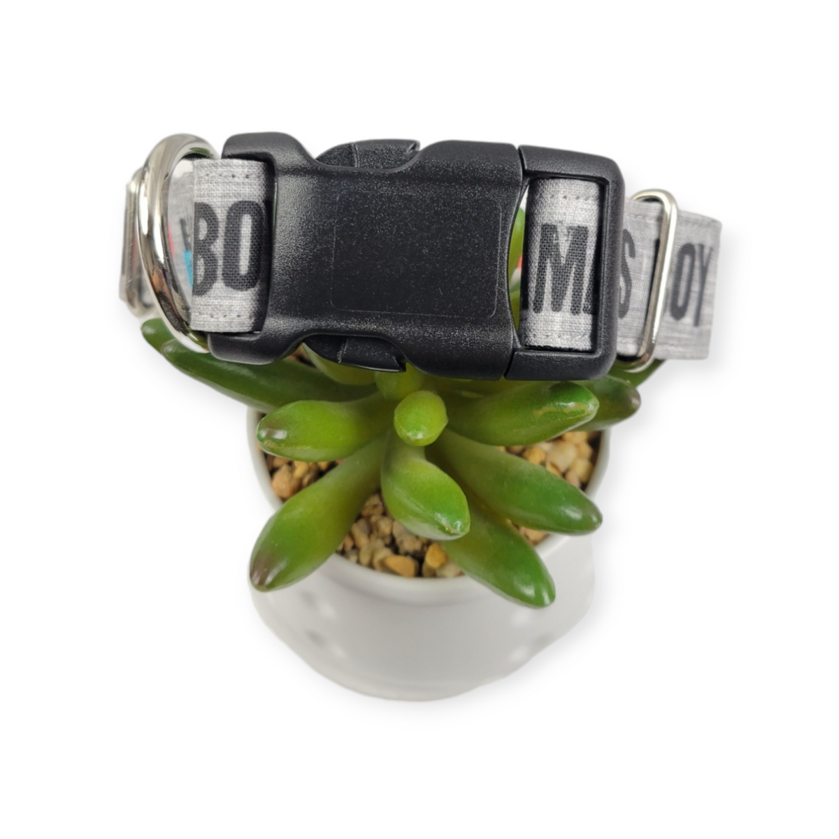 Mama's Boy Dog collar (Medium, 1" wide)