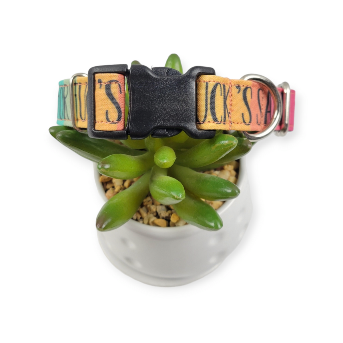 Oh FFS On Retro Rainbow Stripes Dog Collar (Medium)