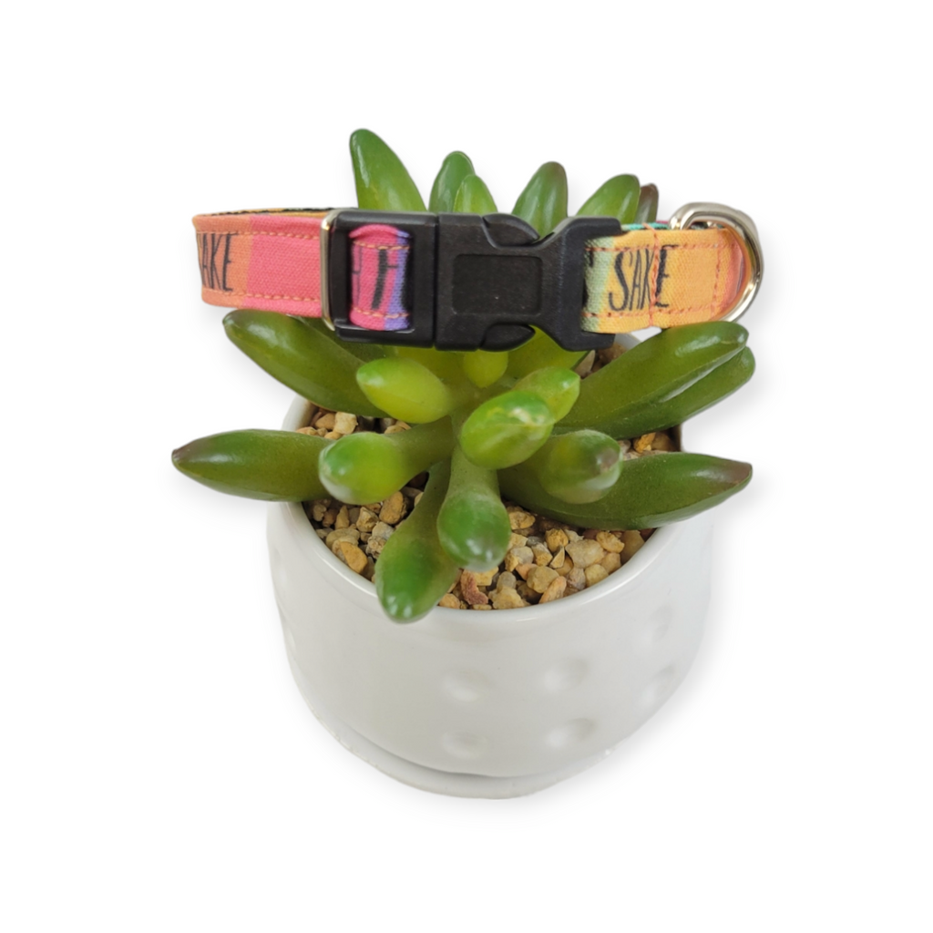 Oh, FFS dog collar (X-Small)
