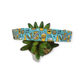 Beer on Aqua Martingale Dog Collar (Large)
