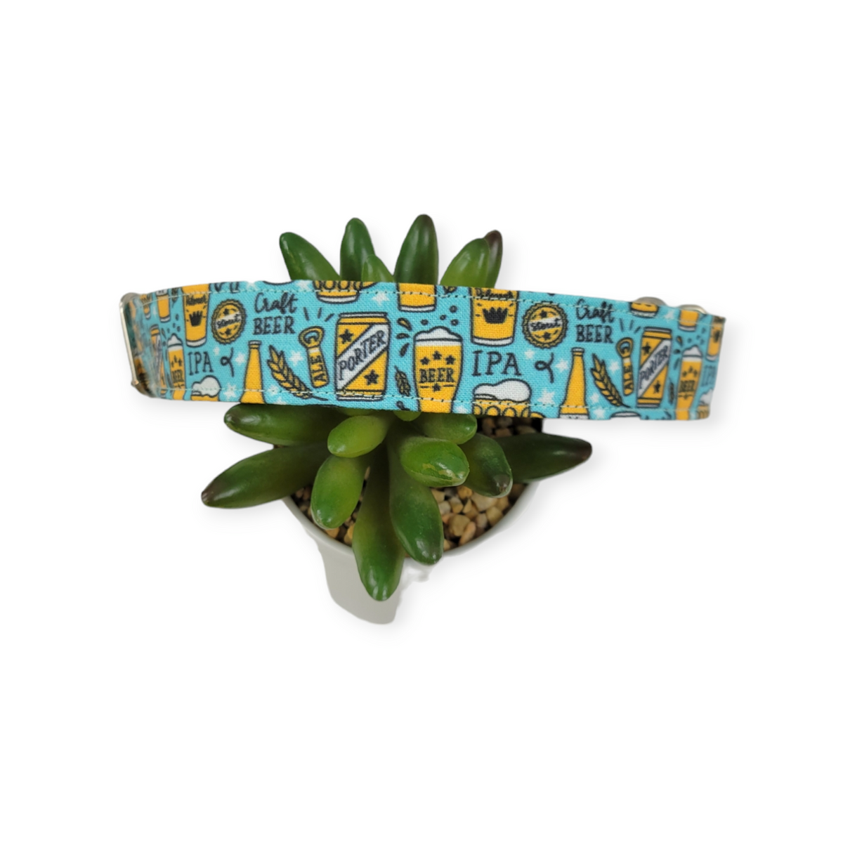 Beer on Aqua Martingale Dog Collar (Large)