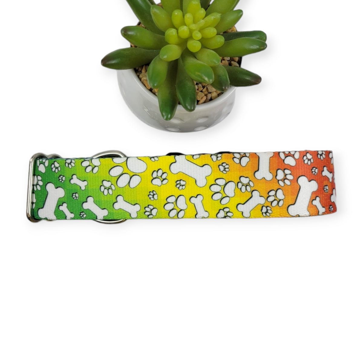 Trippy Doggo Dog Collar (Large, 1.5" wide)