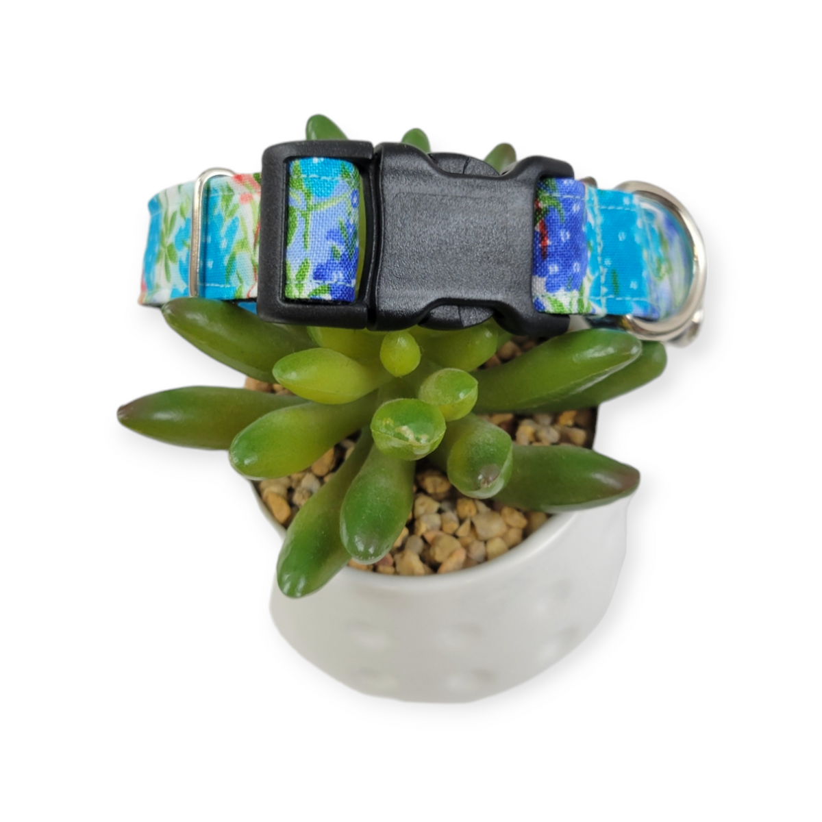 Fields of Blue Ivory Dog Collar (Medium)