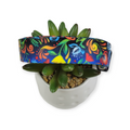Potpourri Dog Collar (Large)