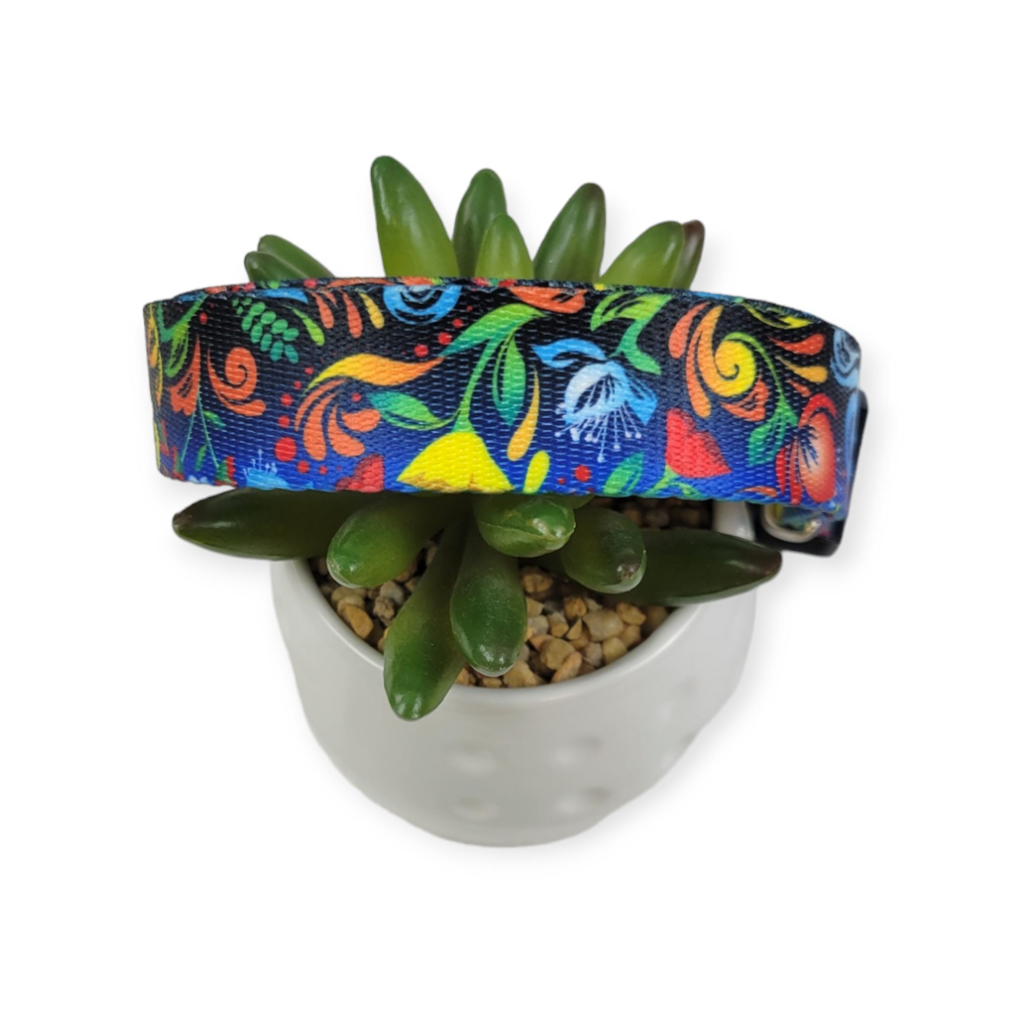 Potpourri Dog Collar (Large)
