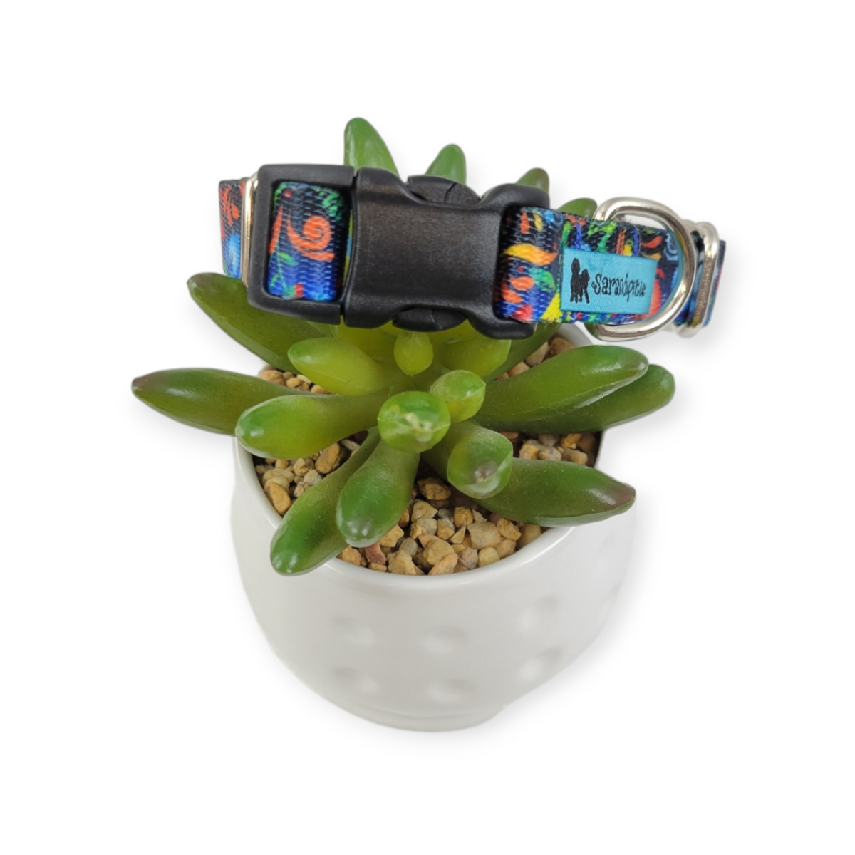 Potpourri Dog collar (Small)