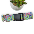 Bright Paisley Dog Collar (Large, 1.5" wide)