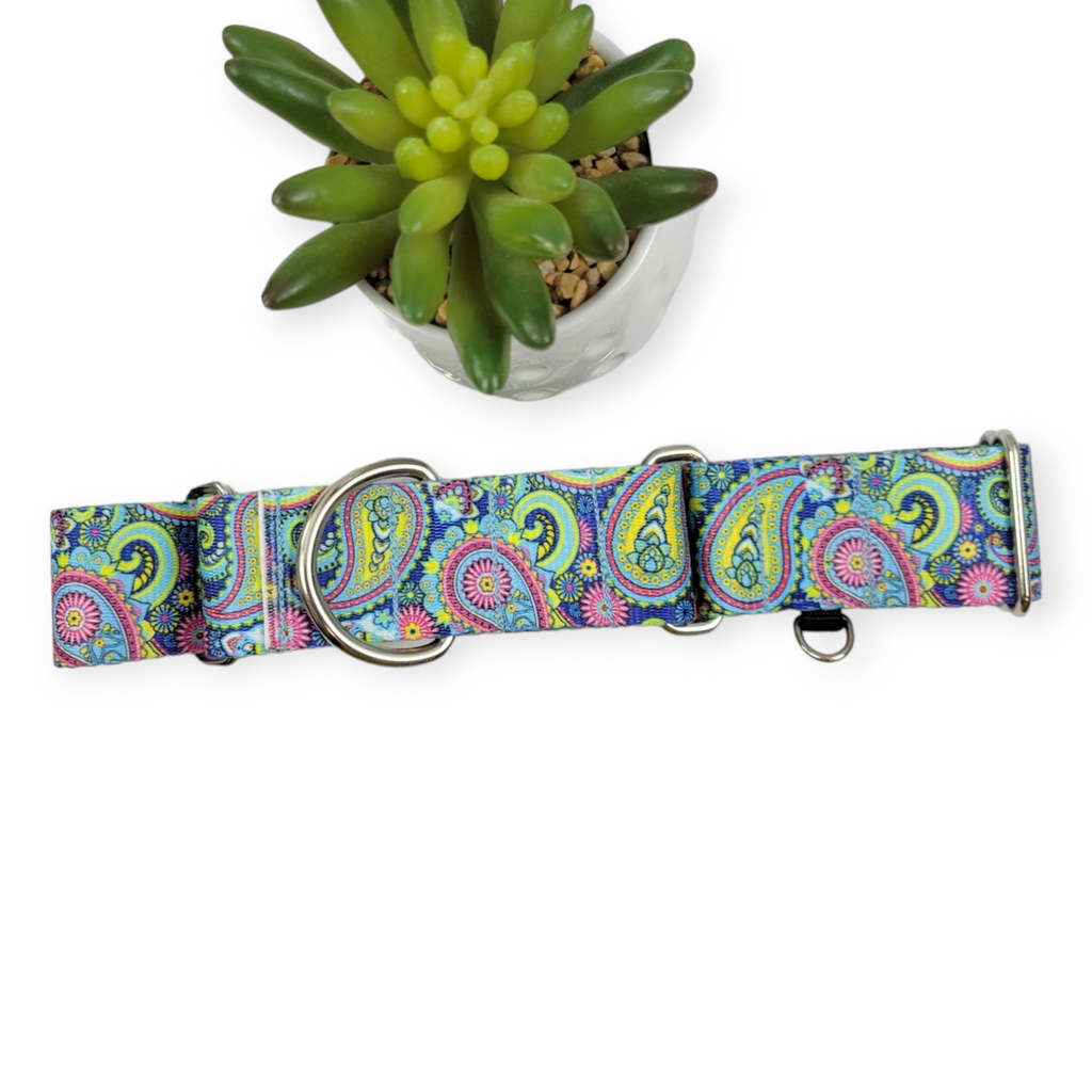Bright Paisley Martingale Dog Collar (Large, 1.5" wide)