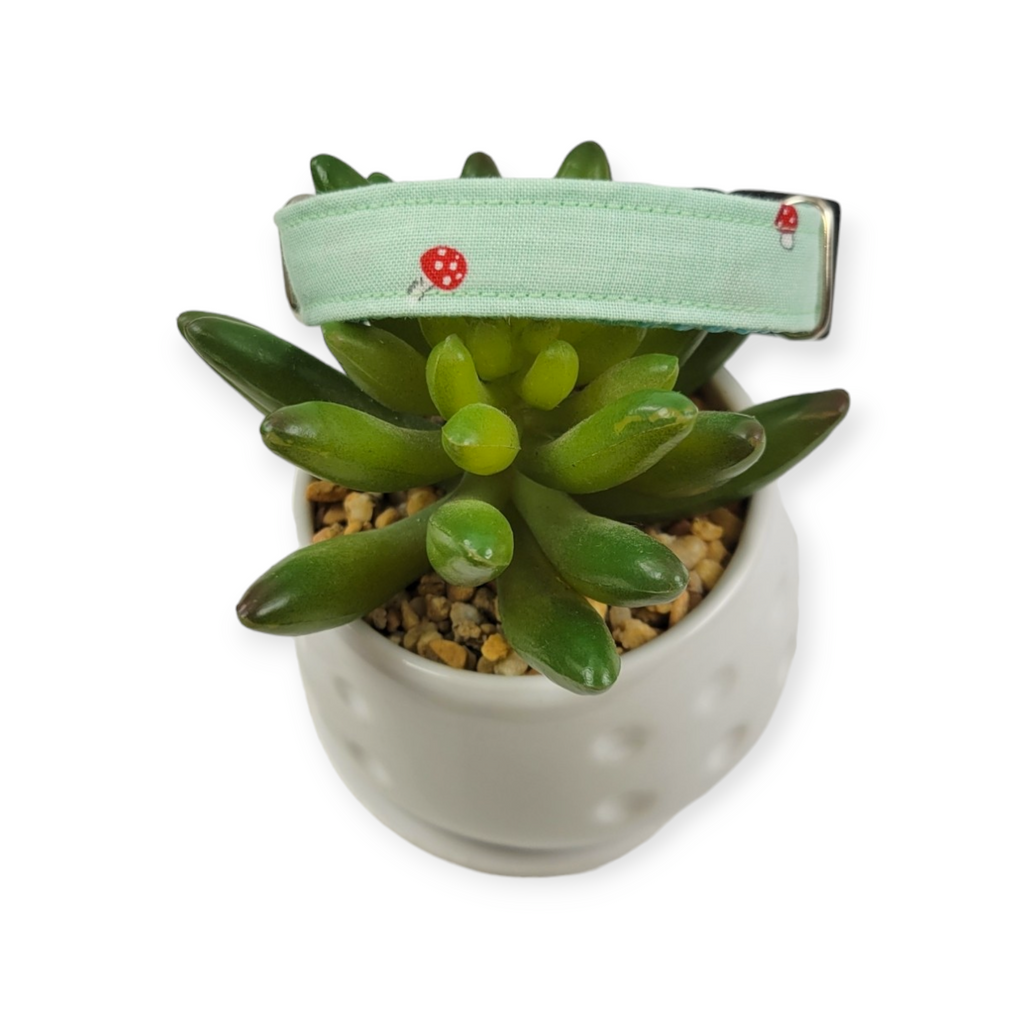 Tiny Mushrooms on Mint Dog collar (Small)