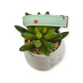 Tiny Mushrooms on Mint Dog collar (Small)