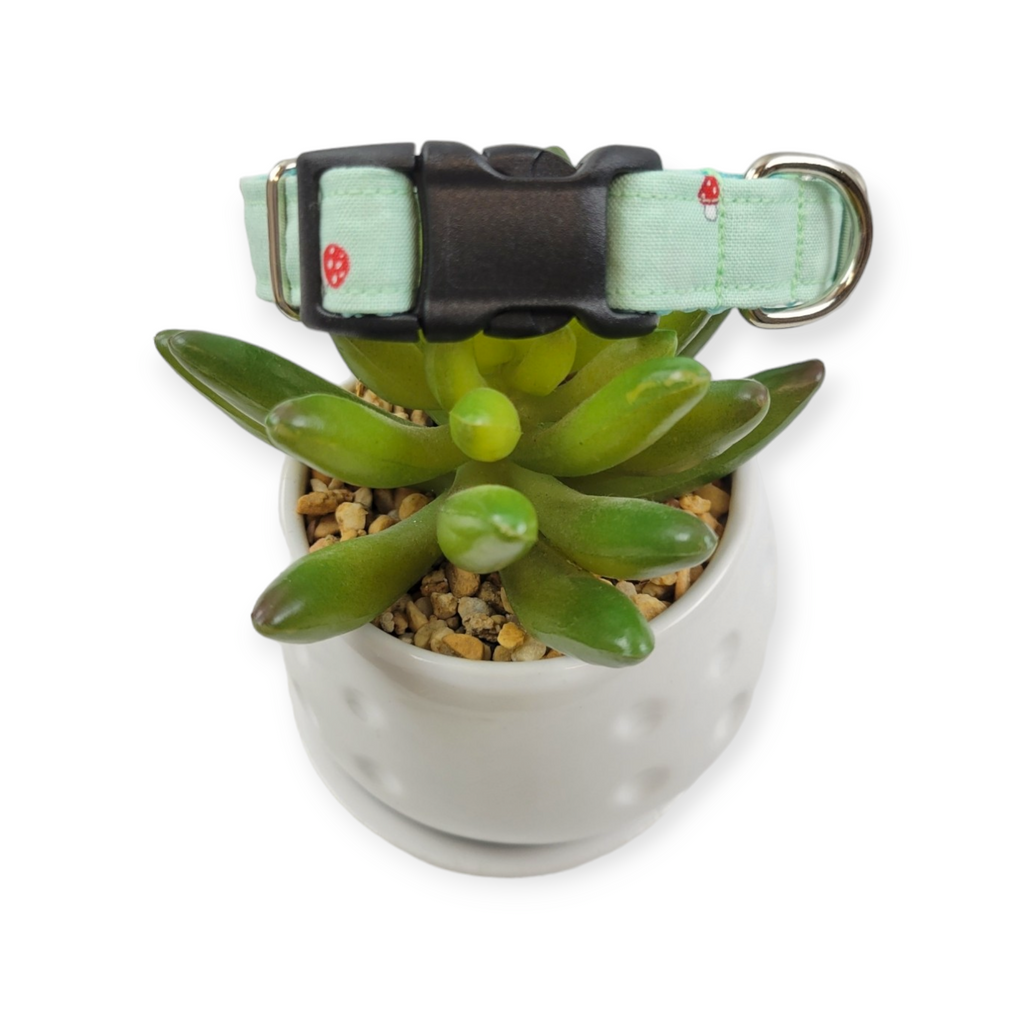 Tiny Mushrooms on Mint Dog collar (Small)