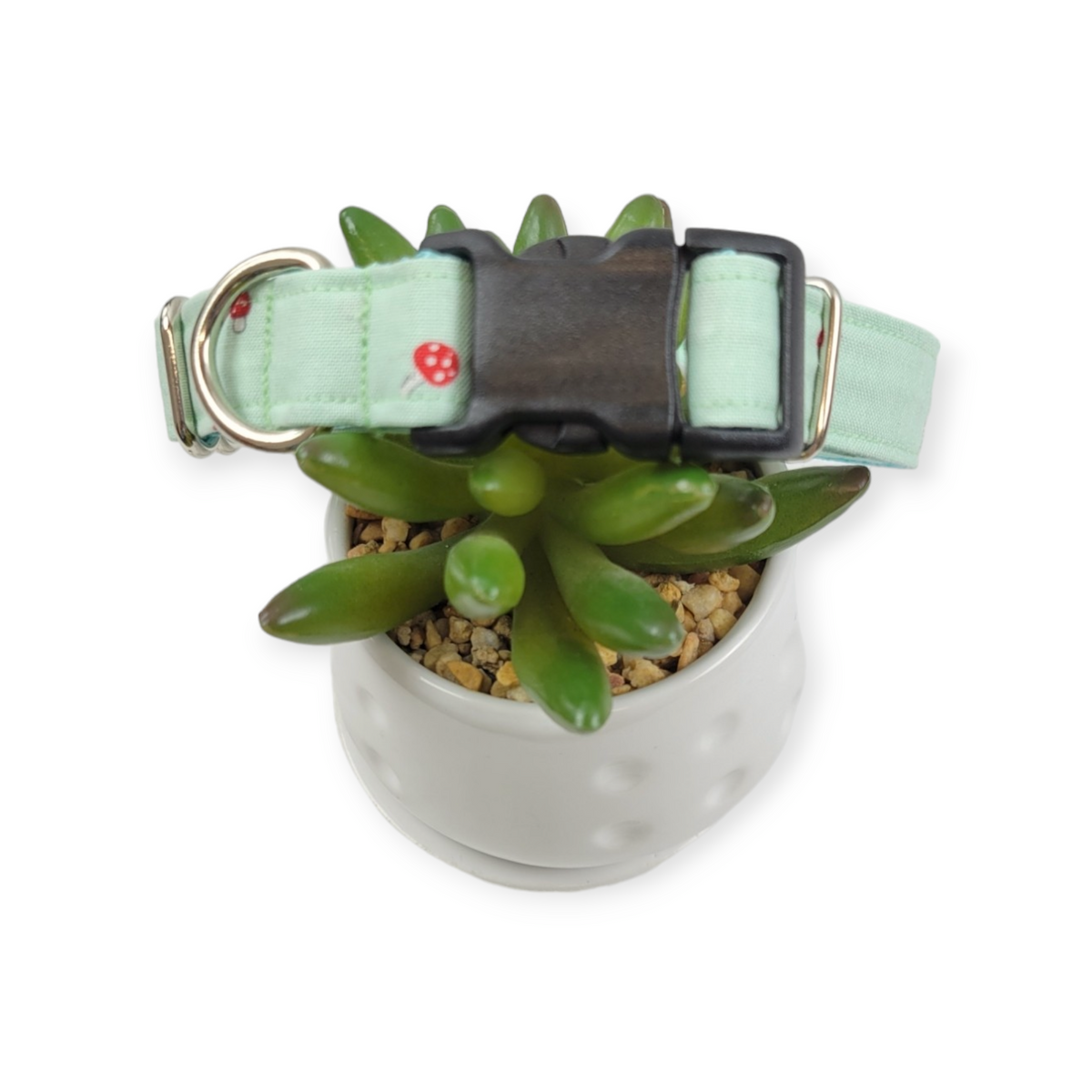 Tiny Mushrooms on Mint Dog Collar (Medium)