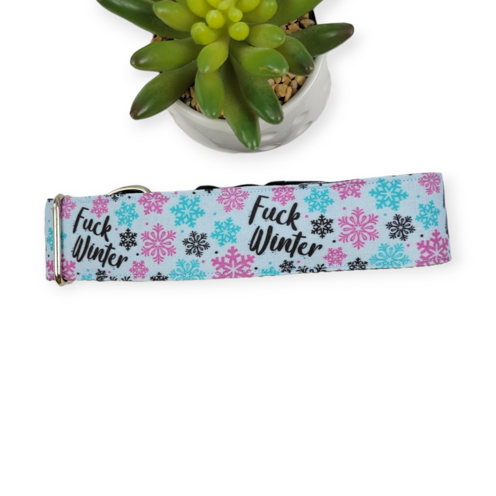 F Winter Dog Collar (Large, 1.5" wide)