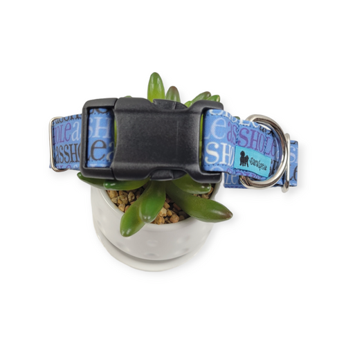 A$$hole on Navy Dog Collar (Medium, 1" wide)
