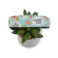 Fuckity Fuck Fuck Dog Collar (Large)