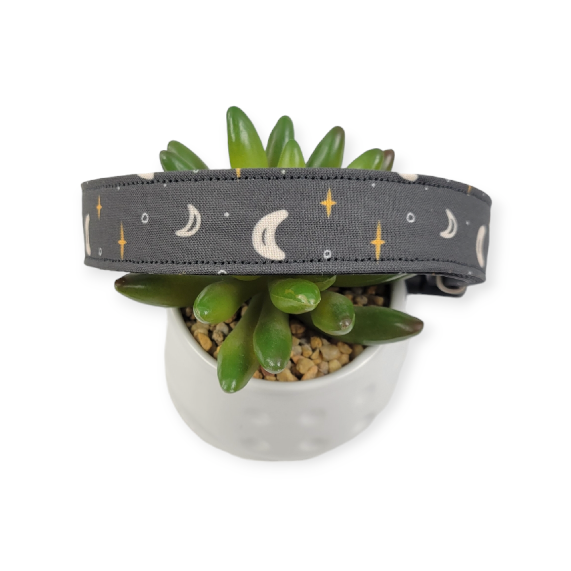 Night Sky Dog Collar (Large)