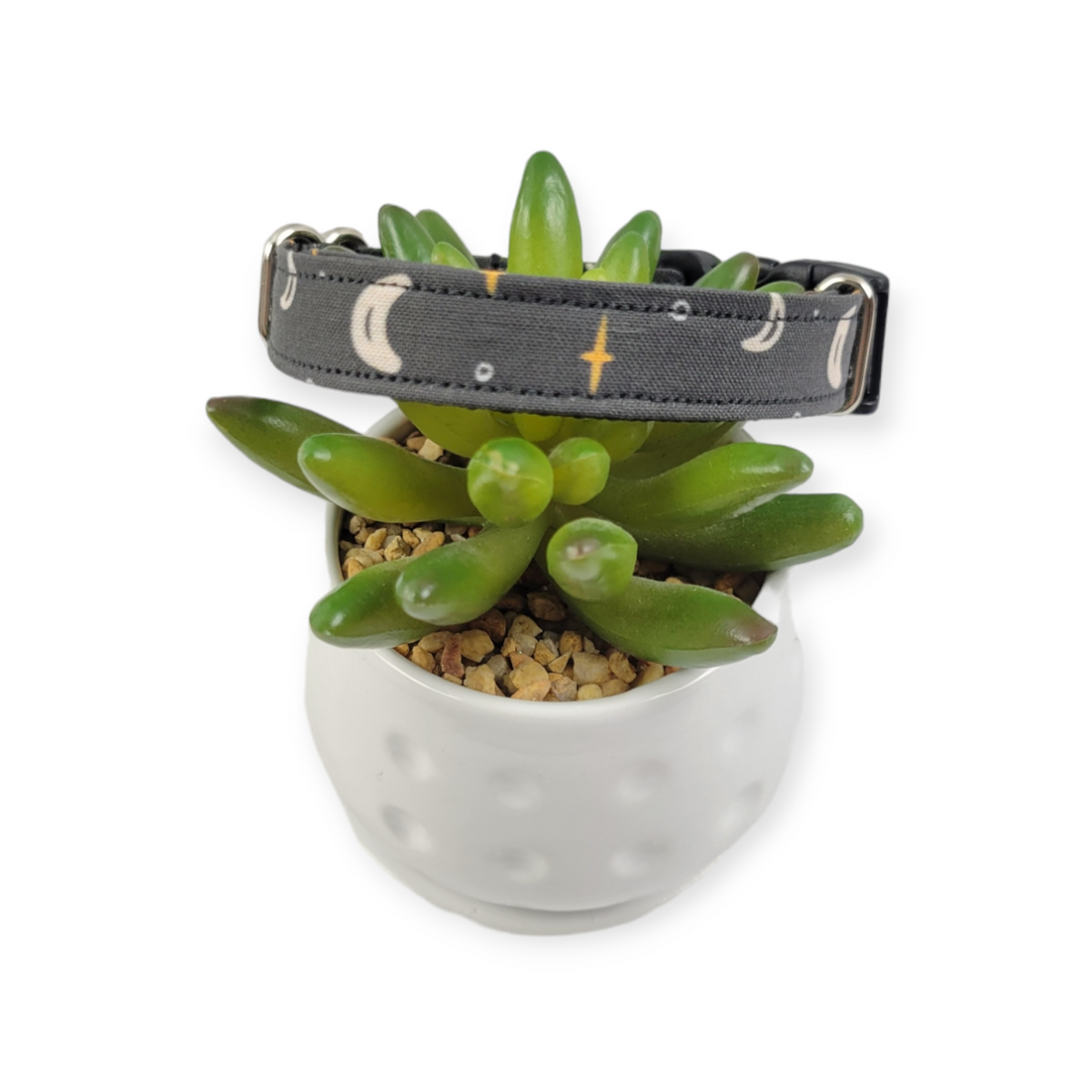 Night Sky Dog collar (Small)