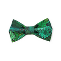 Green SucculentsÃƒÆ’Ã¢â‚¬Å¡Ãƒâ€šÃ‚Â Bowtie - 5"