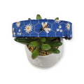 Daisies & Bees Dog Collar (Large)